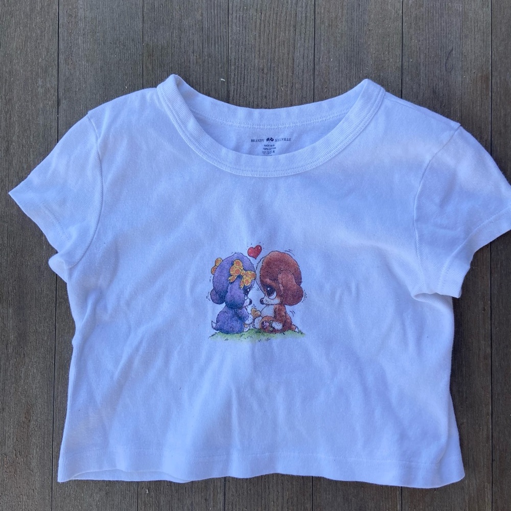 rare brandy melville crop top